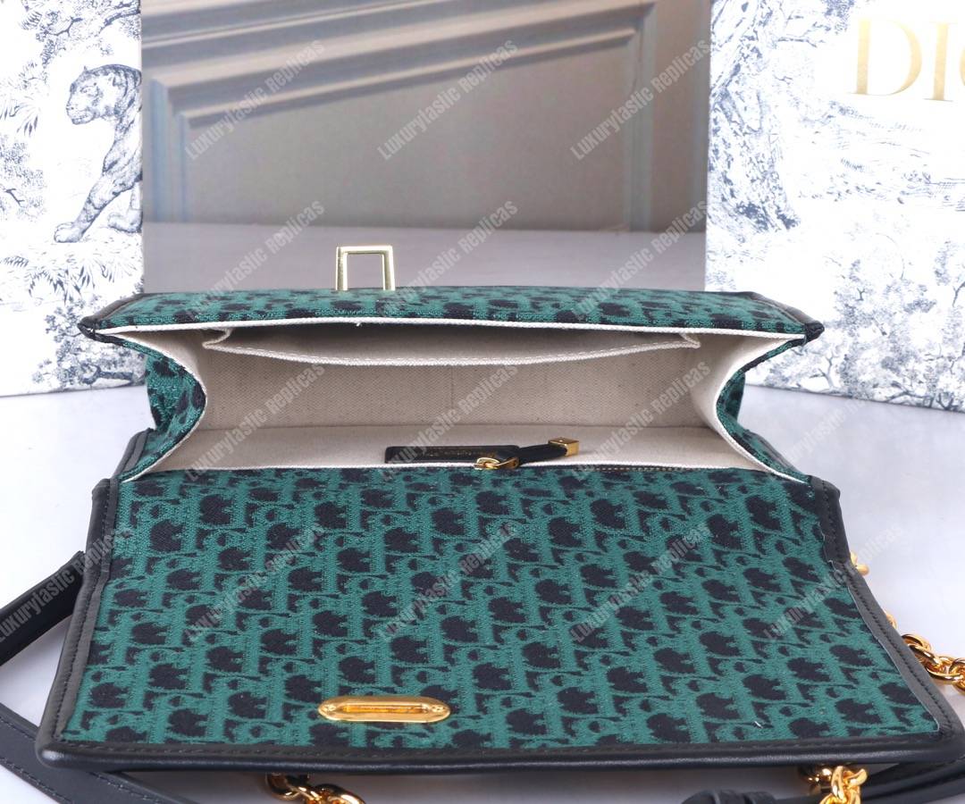 D*or 30 montaigne bag in green oblique canvas