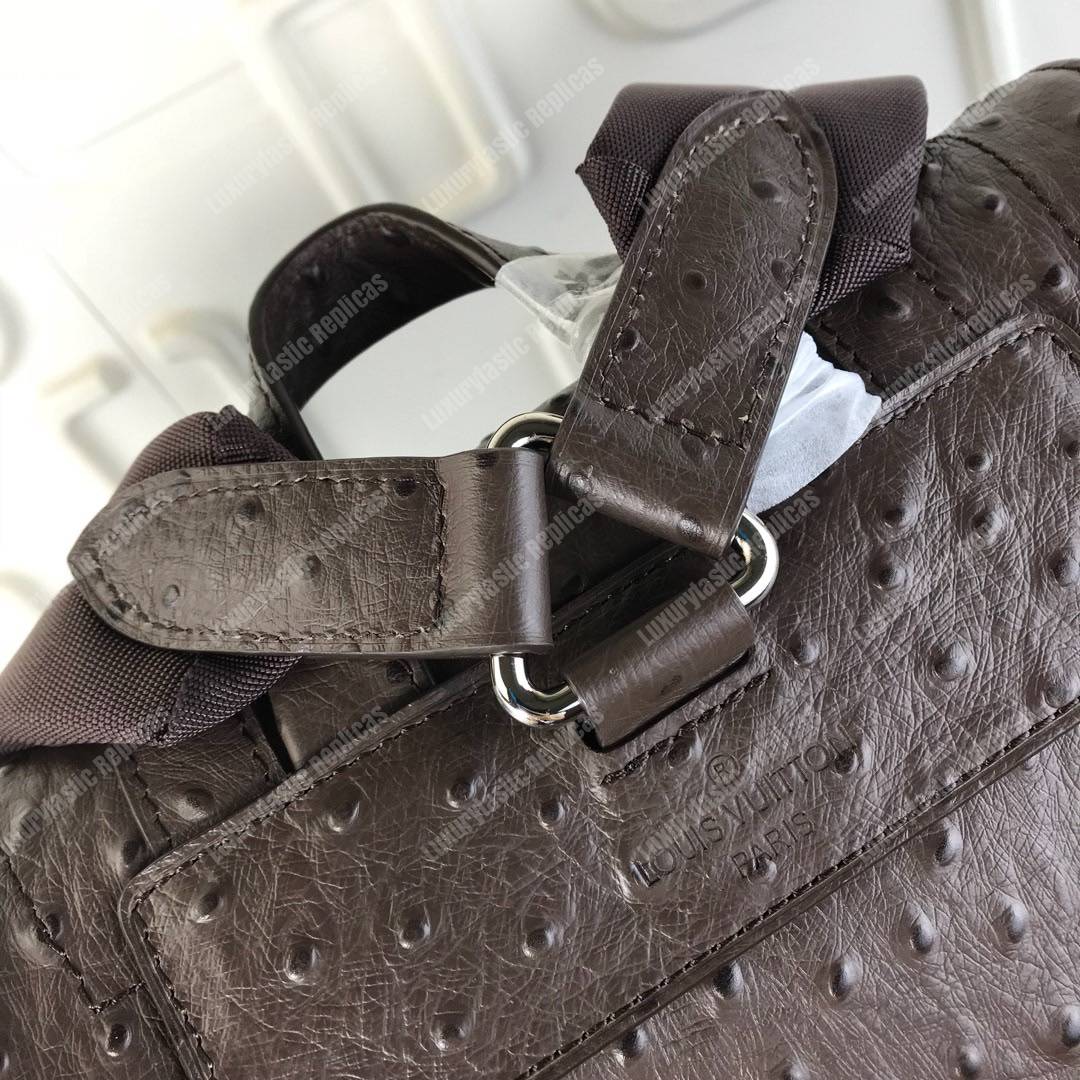 LV Christopher Backpack Autruche Brown