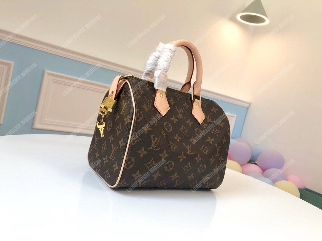 LV Speedy 25 Monogram Canvas