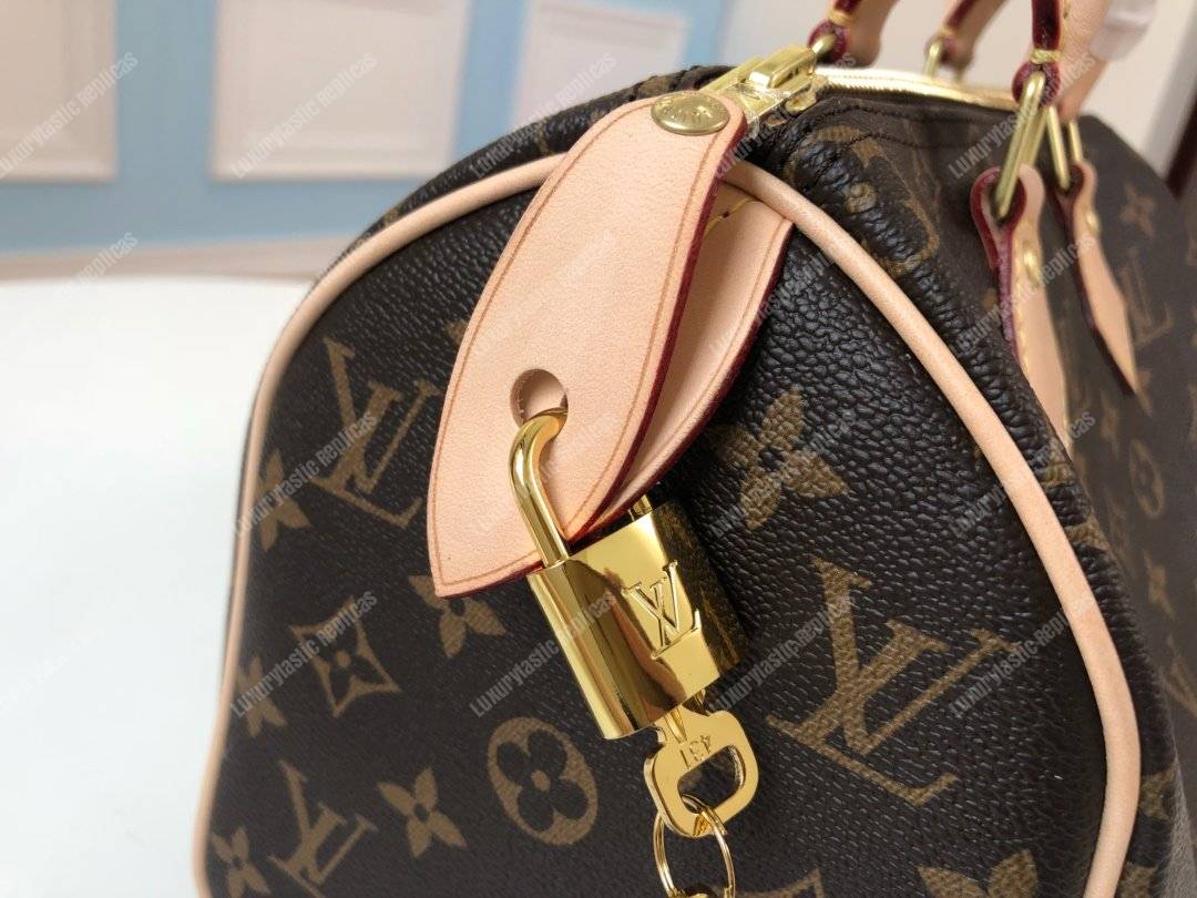 LV Speedy 25 Monogram Canvas