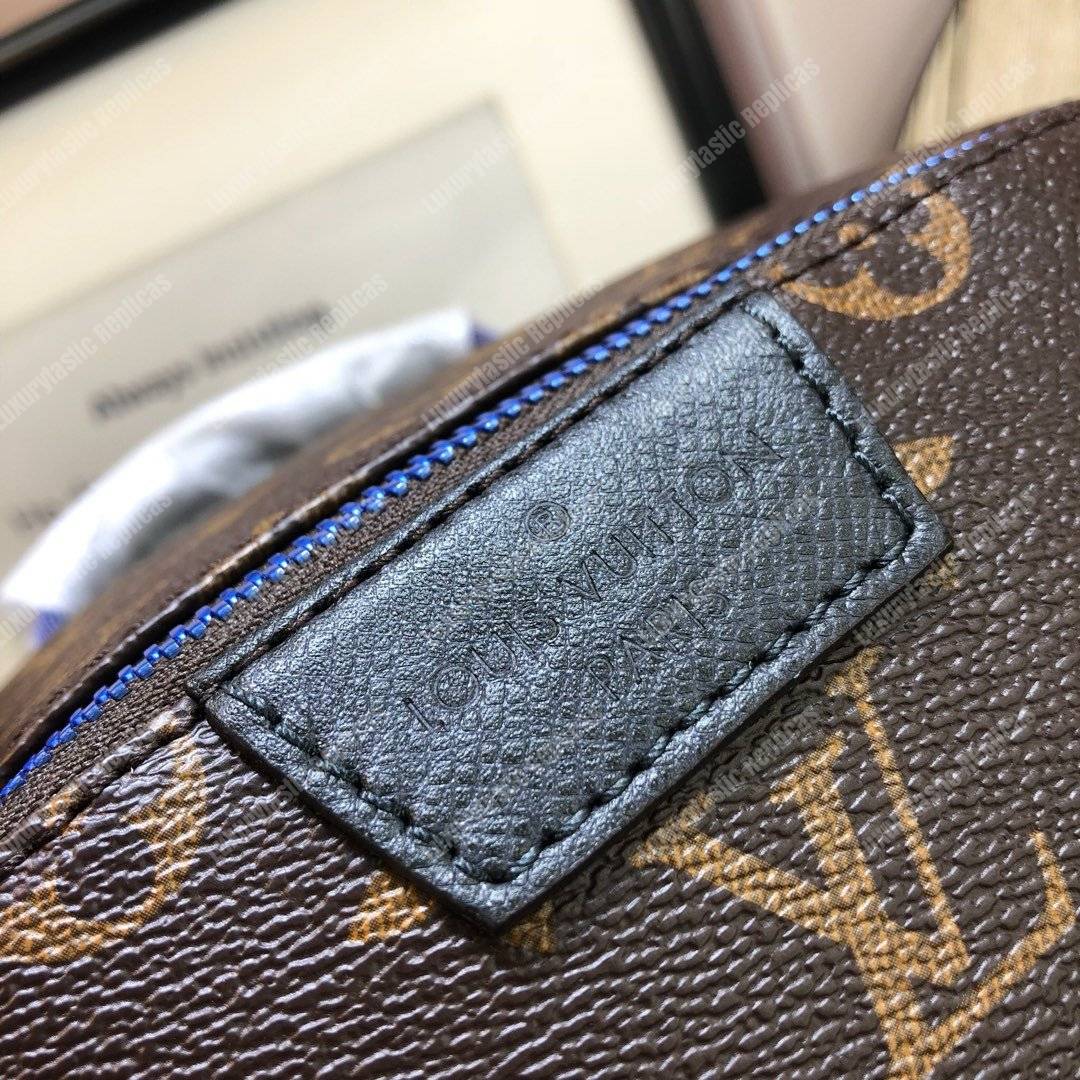 LV Apollo Backpack Brown
