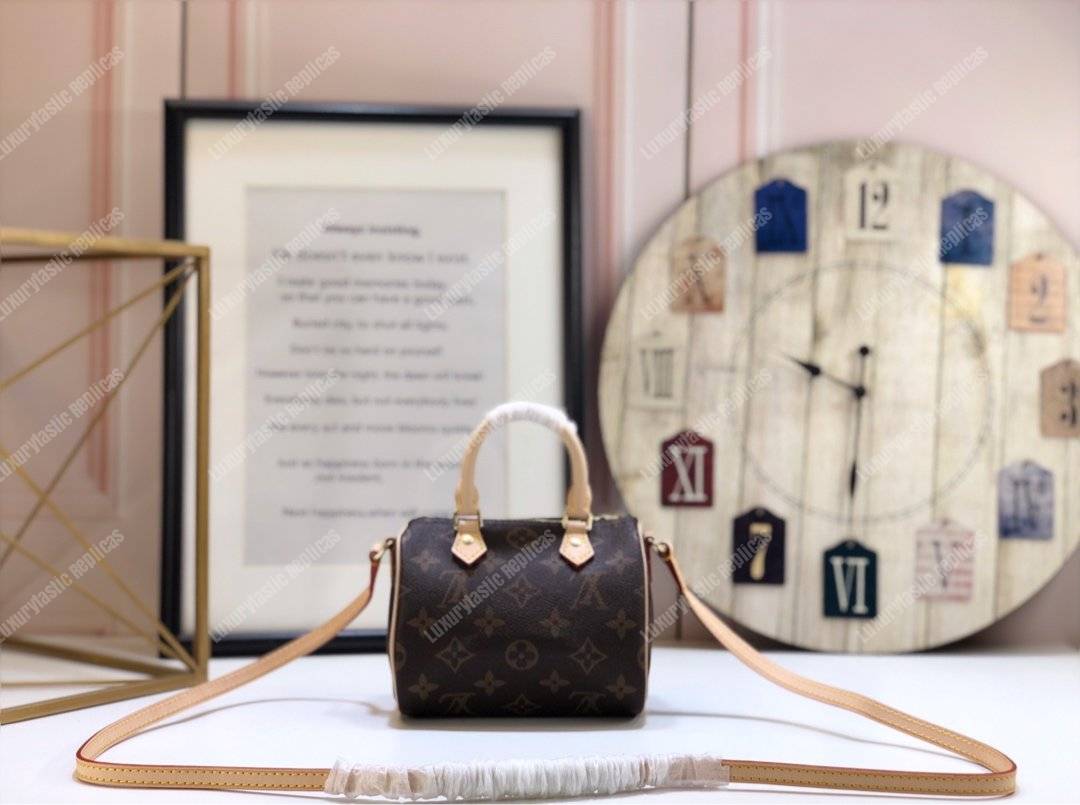 LV Nano Speedy Monogram