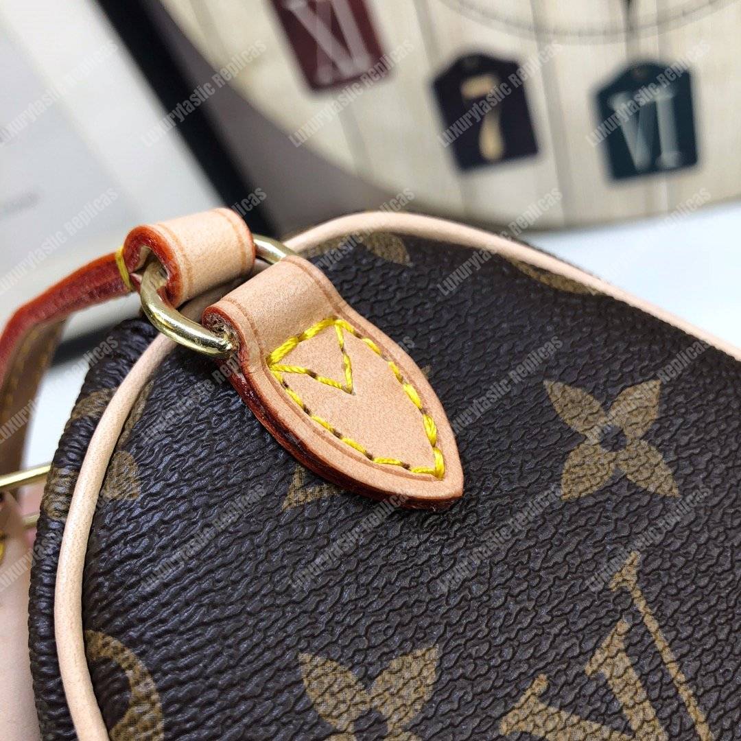 LV Nano Speedy Monogram