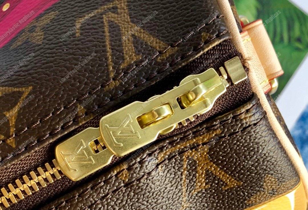 LV Speedy Bandouliere 30 Monogram Tromp L’oeil Screen