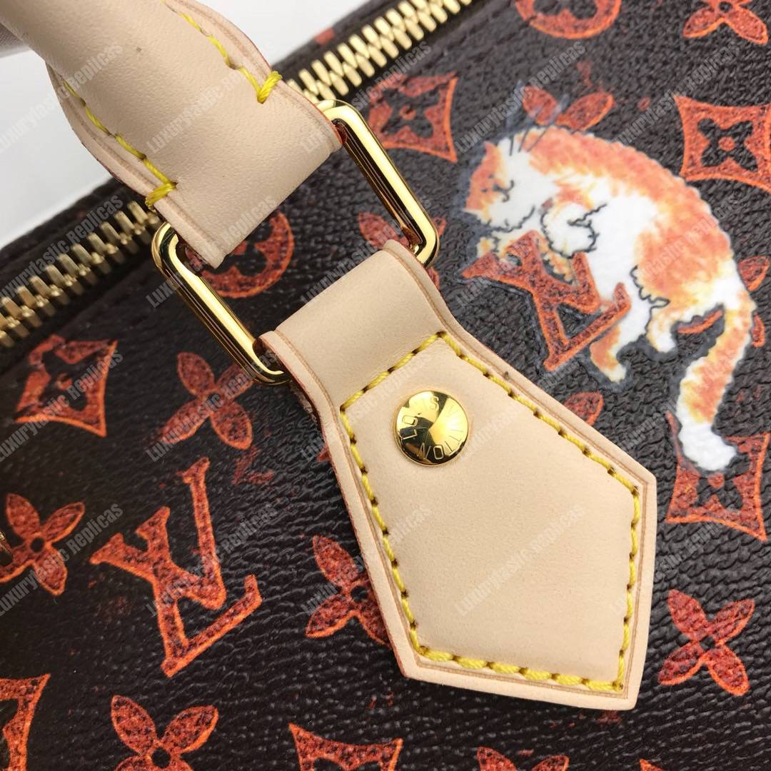 LV Speedy Bandouliere 30 Catogram Brown/Orange