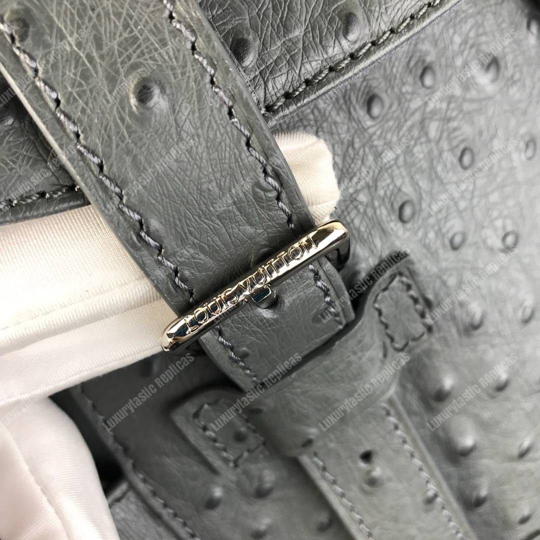 LV Christopher Backpack Autruche