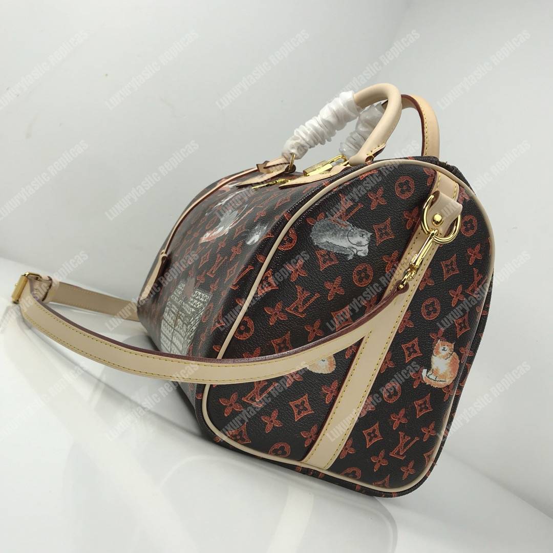 LV Speedy Bandouliere 30 Catogram Brown/Orange