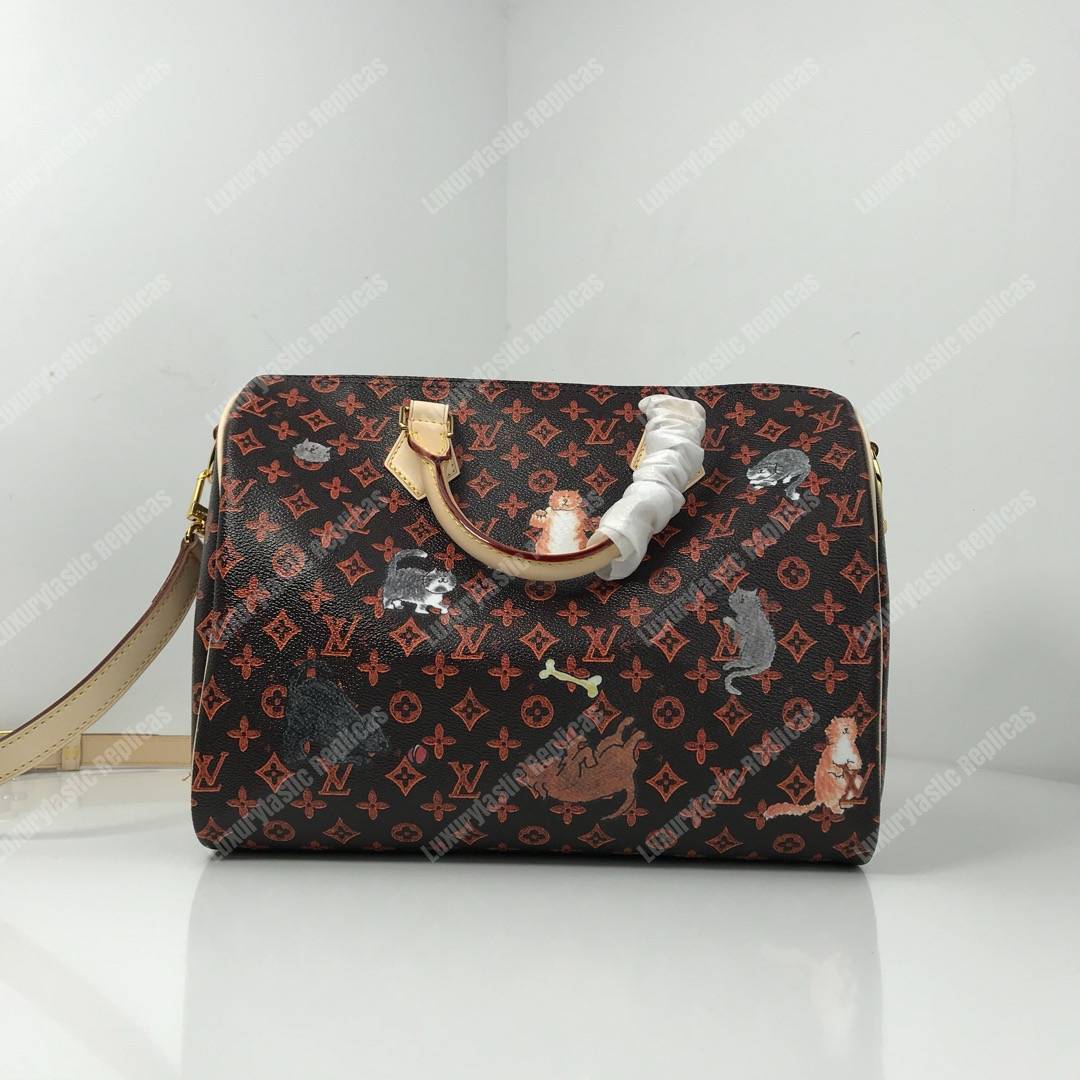 LV Speedy Bandouliere 30 Catogram Brown/Orange