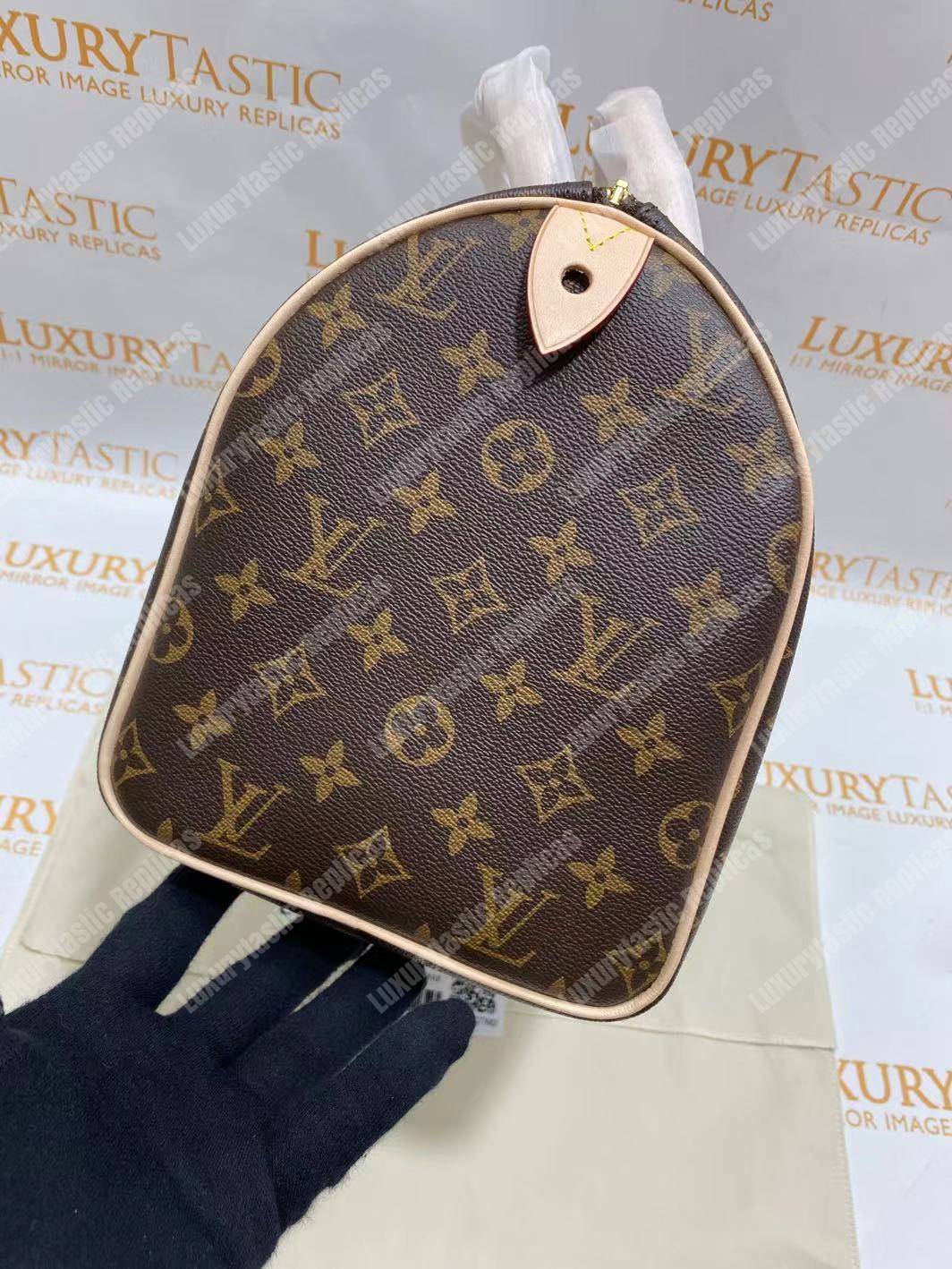 LV Speedy 30 Monogram Canvas