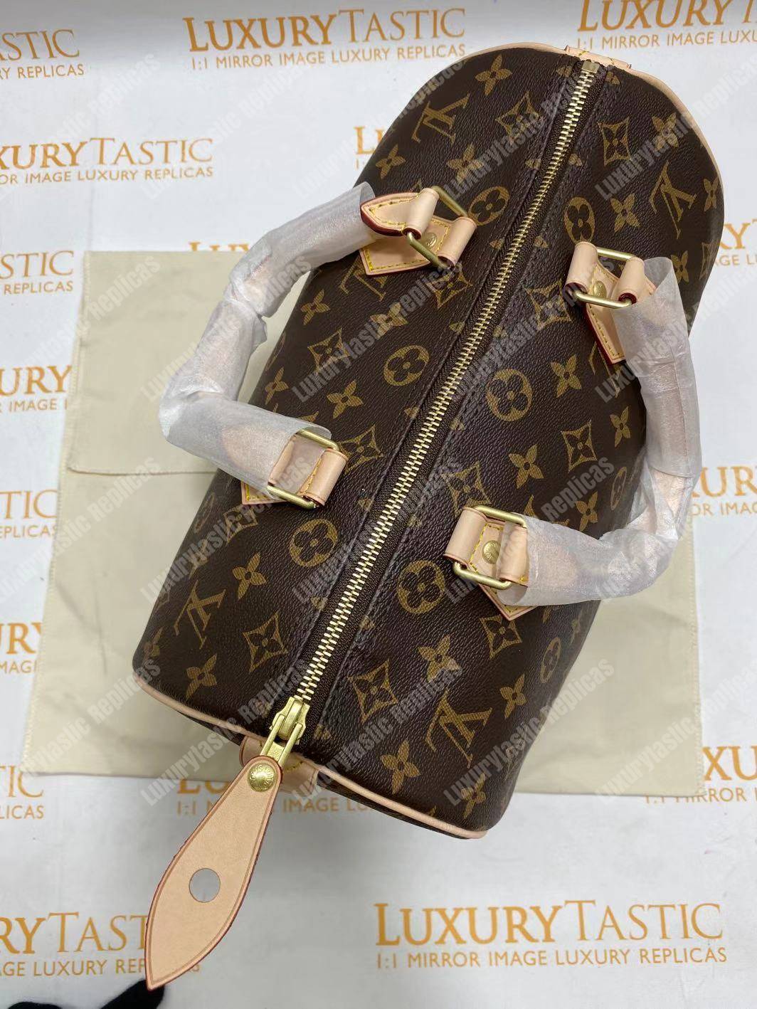 LV Speedy 30 Monogram Canvas