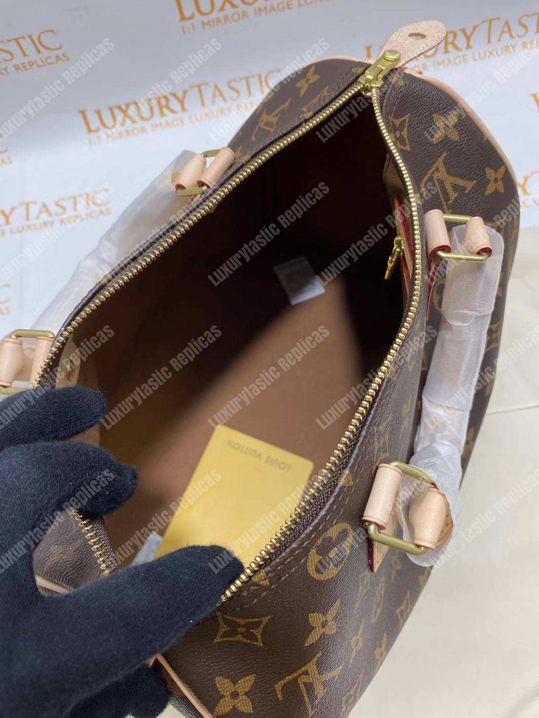 LV Speedy 30 Monogram Canvas