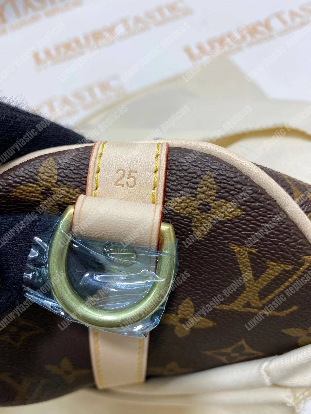 LV Speedy 30 Monogram Canvas