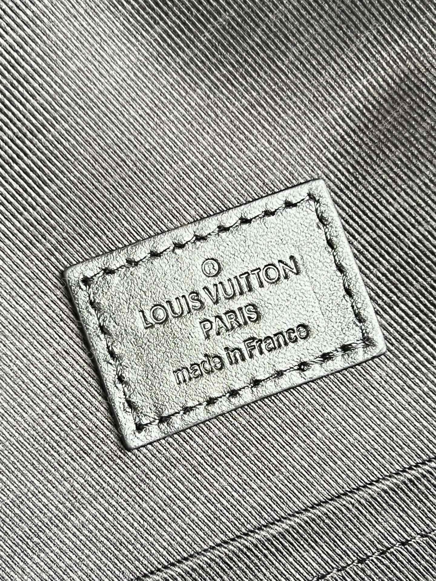 l**is V*t*n dean backpack gray m59924
