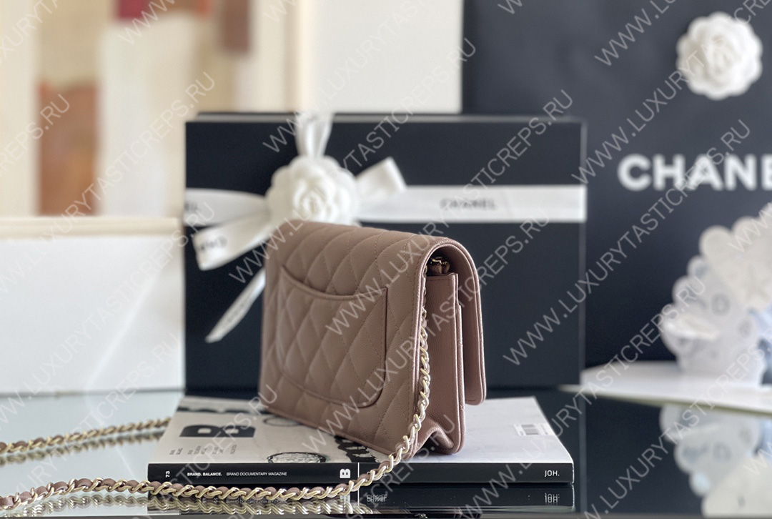 Ch*el classic wallet on chain dark nude ap0250