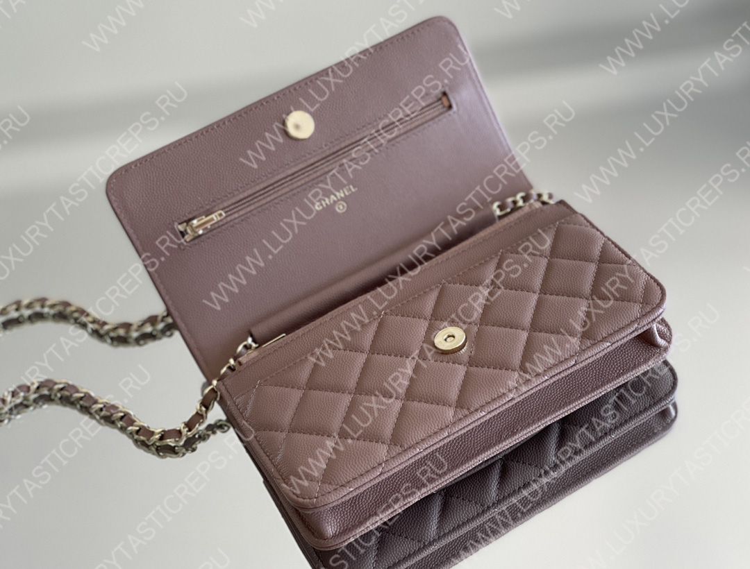 Ch*el classic wallet on chain dark nude ap0250