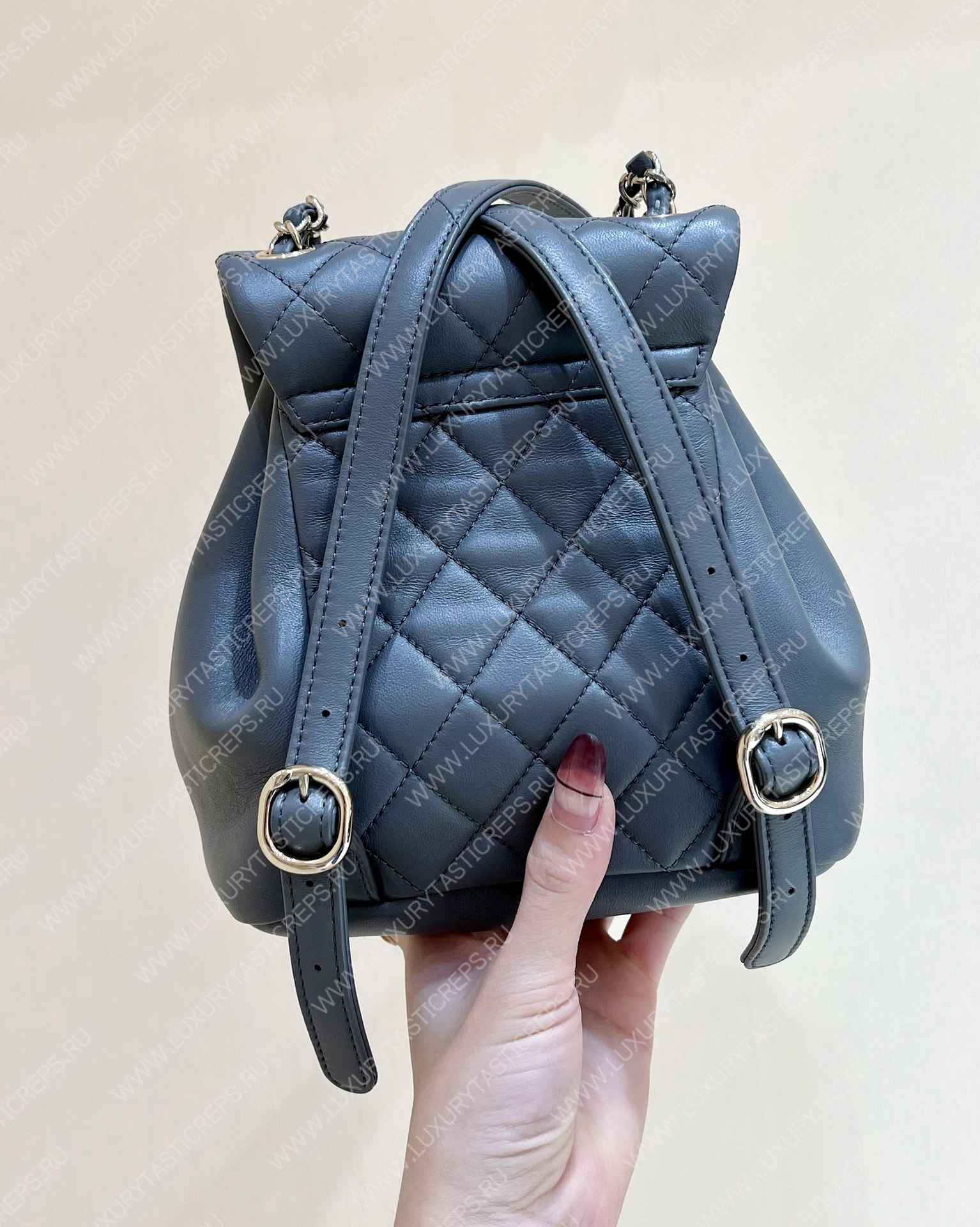 Ch*el duma backpack grey as1160